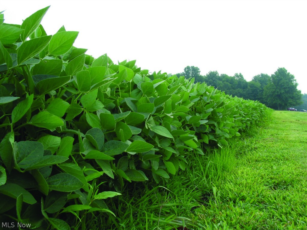 Lordstown Village - Residential