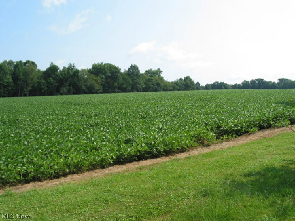 Lordstown Village - Residential