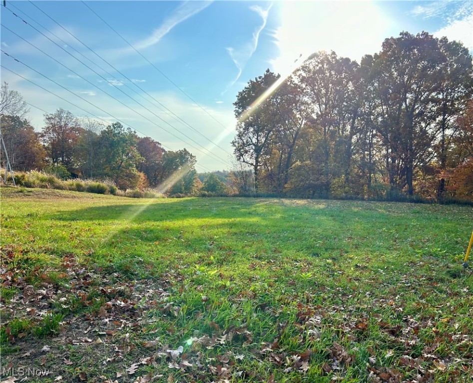 Oneida Trail, Malvern, Ohio image 2