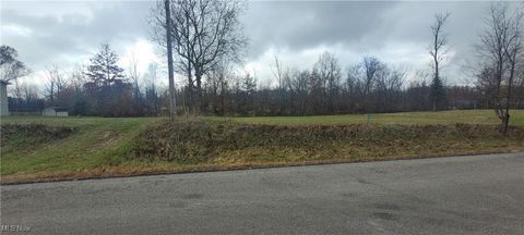 Vacant Land For Sale - 1129-1130 Cinnamon Drive<br/> Ashland County, West Salem, OH 44287