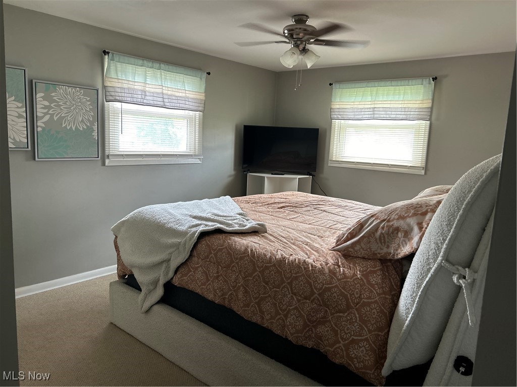 1602 Woodlawn Avenue, Canton, Ohio image 12