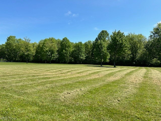 Vacant Land Green Road, Madison, Ohio image 6