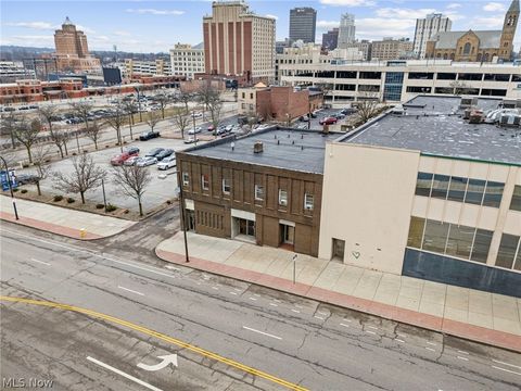 Tiny photo for 53 E Exchange Street, Akron, OH 44308 (MLS # 5189854)