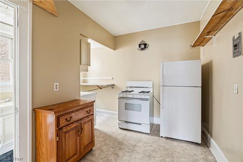 Tiny photo for 53 E Exchange Street, Akron, OH 44308 (MLS # 5189854)