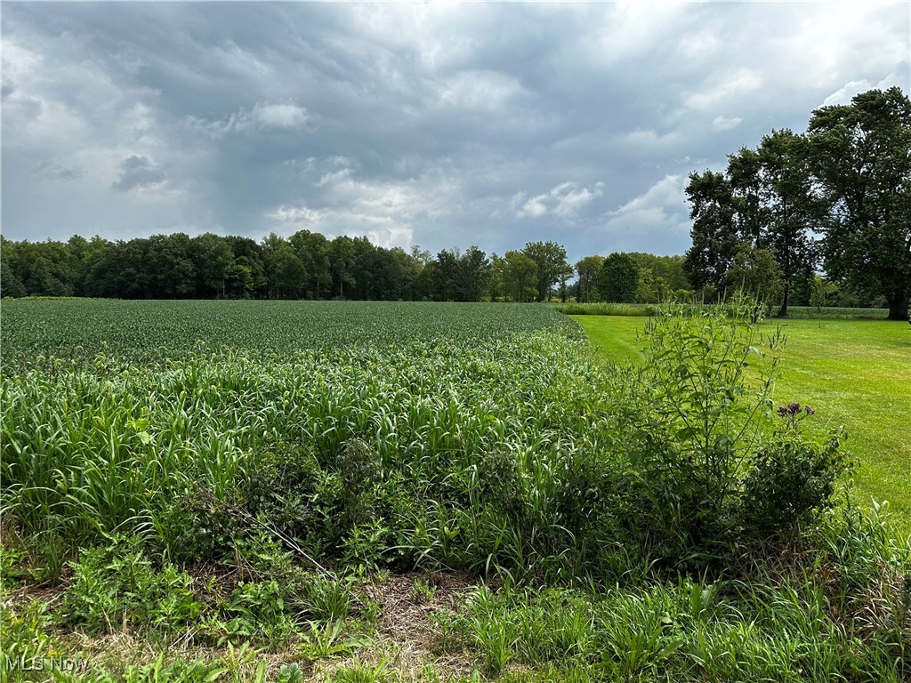 Diagonal Road, LaGrange, Ohio image 5