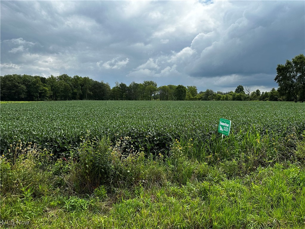 Diagonal Road, LaGrange, Ohio image 2