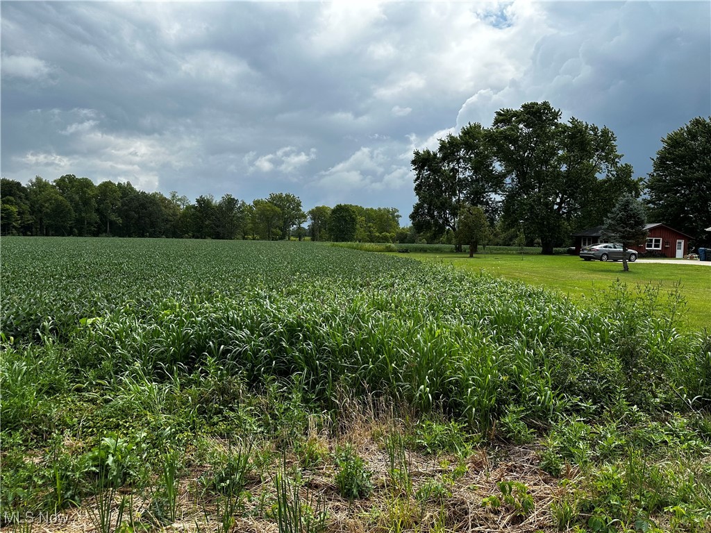 Diagonal Road, LaGrange, Ohio image 4