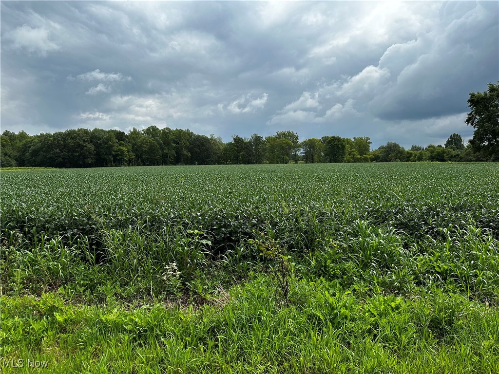 Diagonal Road, LaGrange, Ohio image 3