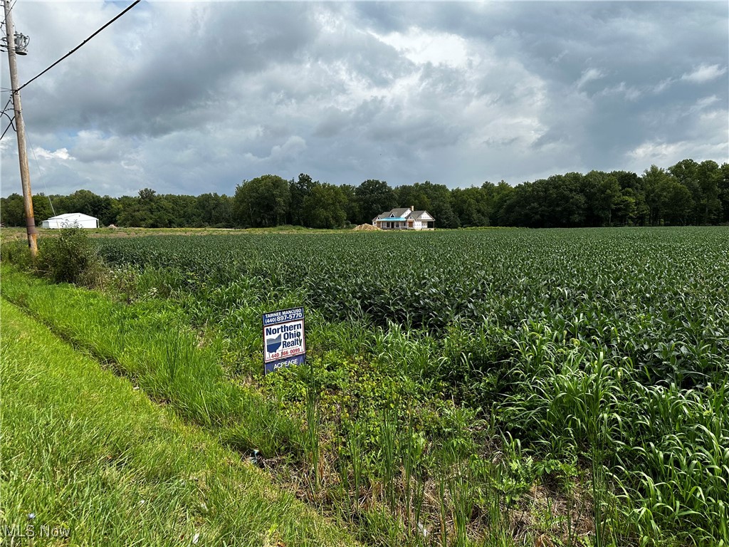 Diagonal Road, LaGrange, Ohio image 6