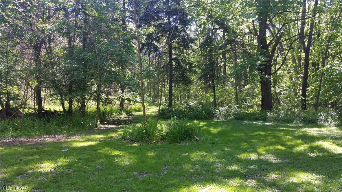 Painesville Township 02 - Residential