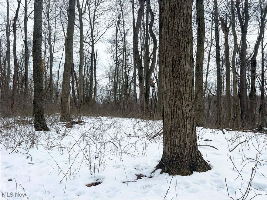 Here is a beautiful tract of recreational property that has the potential to be a dream home site just minutes from Zoar in Tusc county. 20 acres with all kinds of road frontage giving you the ability to dream big, whether you are looking to invest, build, hunt or just a place to hang out this gently rolling property checks a lot of boxes. Add a hunting blind, a food plot and watch your investment grow. The snow revealed all kinds of deer tracks as l looked at this one. There are some harvestable trees on this one so an immediate return on investment could be in order. A driveway gives you good access on Maker Rd. This one has so many options, take a look today. You will thank me later.