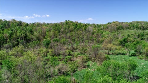 Vacant Land For Sale - 6820 Crane Run Road<br/> Cumberland, OH 43732
