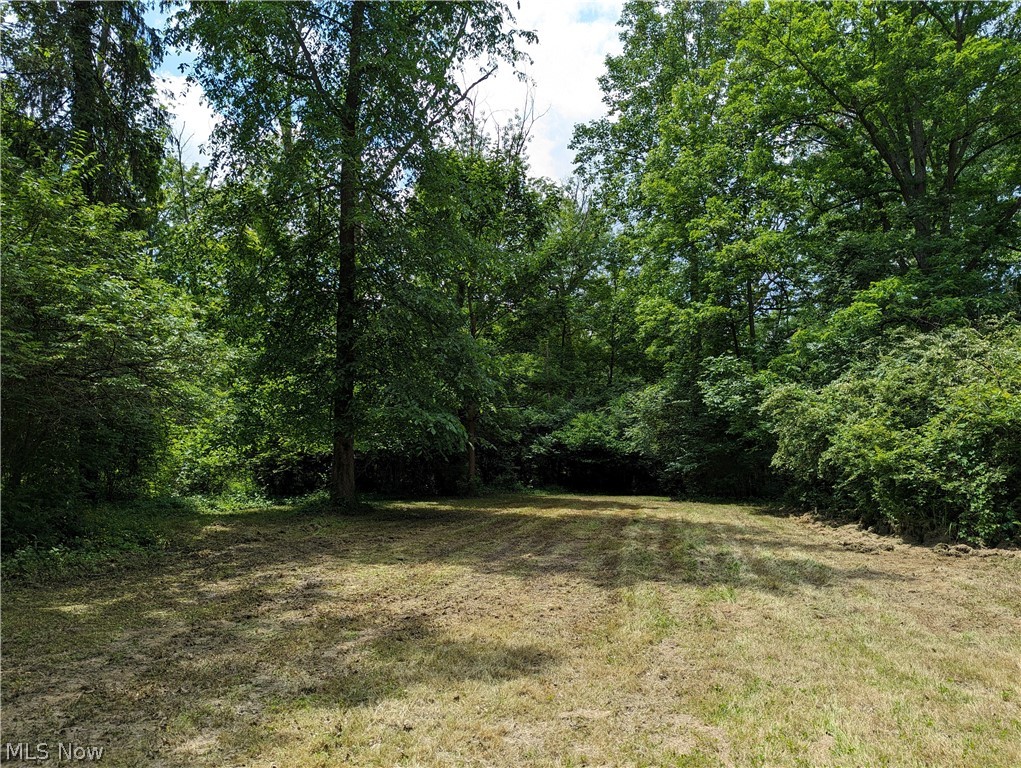 Olmsted 01 - Residential