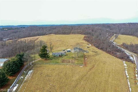 Tiny photo for 1325 County Line Rd Rd, Hopewell, OH 43760 (MLS # 5187992)