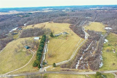 Tiny photo for 1325 County Line Rd Rd, Hopewell, OH 43760 (MLS # 5187992)