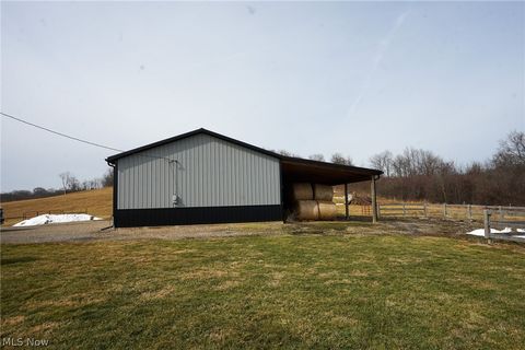 Tiny photo for 1325 County Line Rd Rd, Hopewell, OH 43760 (MLS # 5187992)