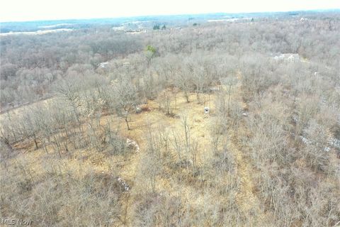 Tiny photo for 1325 County Line Rd Rd, Hopewell, OH 43760 (MLS # 5187992)
