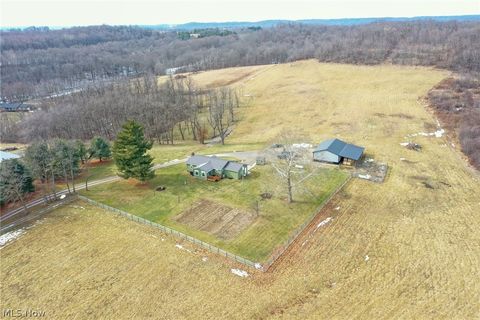 Tiny photo for 1325 County Line Rd Rd, Hopewell, OH 43760 (MLS # 5187992)