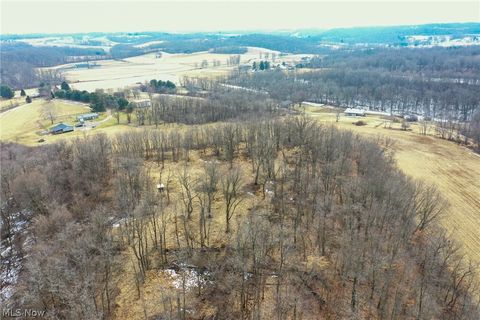 Tiny photo for 1325 County Line Rd Rd, Hopewell, OH 43760 (MLS # 5187992)