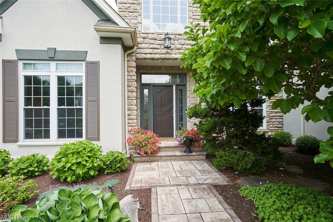 Fox Meadow - Residential