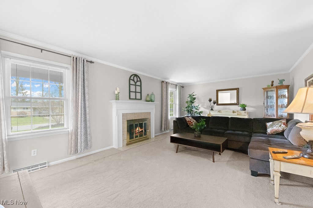 841 W Milton Street St, Alliance, Ohio image 15