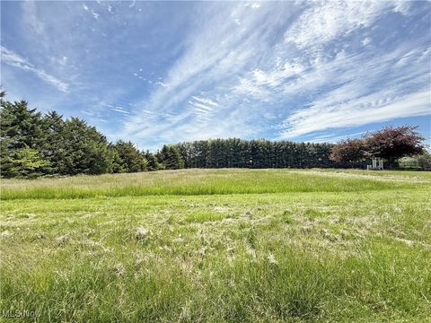 Tiny photo for 49631 Foxwood Lane, East Palestine, OH 44413 (MLS # 5095294)