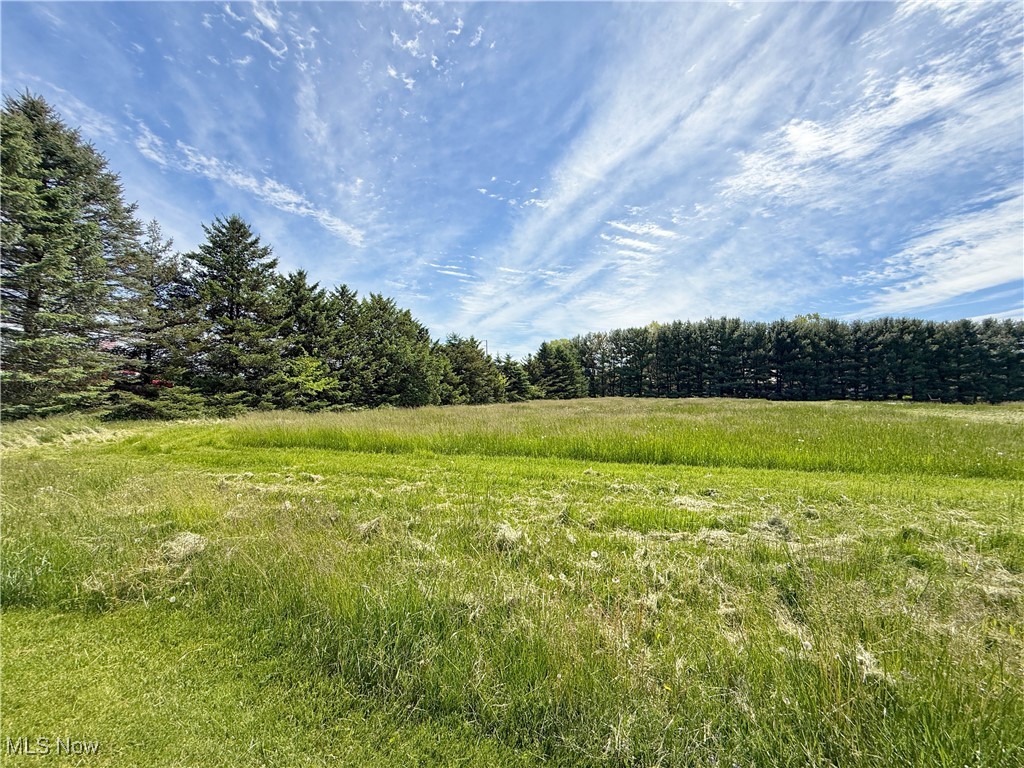 Discover the perfect spot to build your dream home! This is 1 of 4 available lots in the beautiful Foxwood Chase Development. Situated on a dead end street, this lot offers approximately 1 acre of space, providing the ideal setting for country living at its finest. Bring your own builder and create a home tailored to your vision. Each lot is septic-approved. Enjoy the convenience of underground utilities and natural gas availability, making your build even easier. Situated approximately 5 minutes from the Pennsylvania Line and approximately 40 minutes from Pittsburgh Airport, this development combines rural living with easy access to major destinations. Join a community of beautiful homes and make Foxwood Lane your new address!