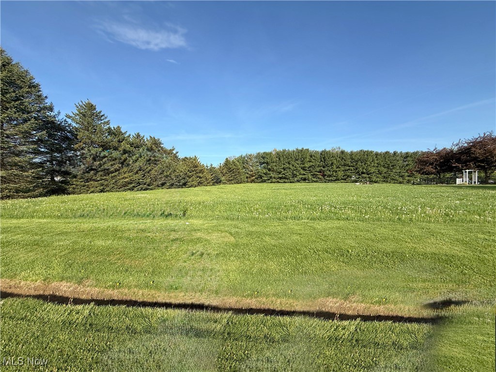49631 Foxwood Lane, East Palestine, Ohio image 1