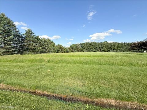Tiny photo for 49631 Foxwood Lane, East Palestine, OH 44413 (MLS # 5095294)