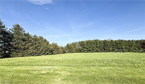 Tiny photo for 49631 Foxwood Lane, East Palestine, OH 44413 (MLS # 5095294)