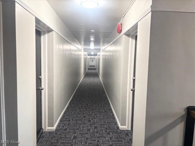 P J Odonnells Hillandale - Residential Lease