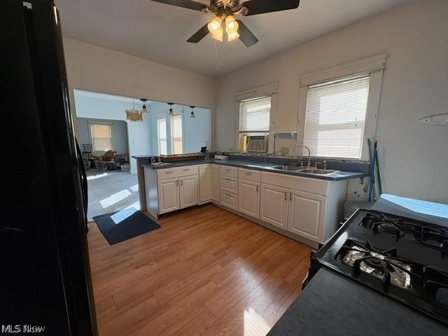 South-Woodland & Rice Ave P - Residential