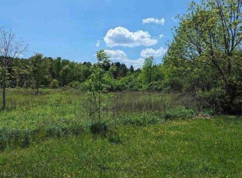 Vacant Land For Sale - Ridgewood Road<br/> Medina, OH 44281