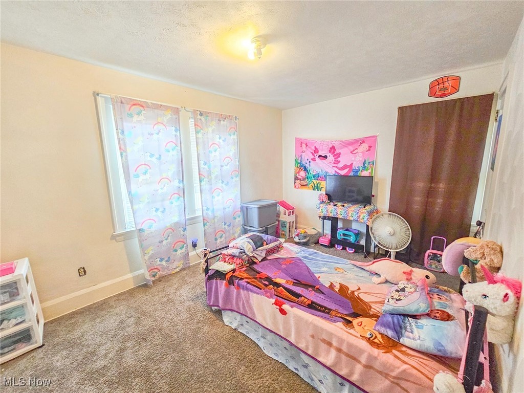 119 N Hartford Avenue, Youngstown, Ohio image 27