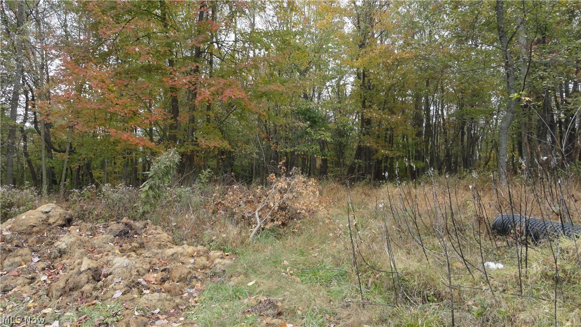 Bryden Rd - Lot # 40, Weirton, West Virginia image 4