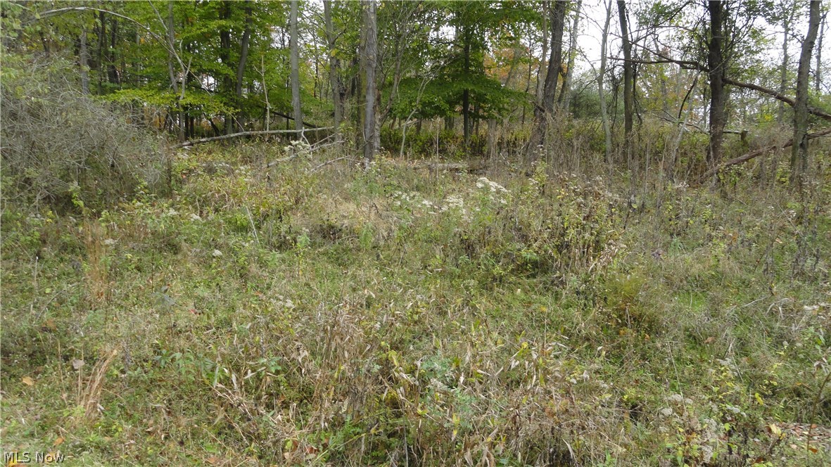 Bryden Rd - Lot # 40, Weirton, West Virginia image 1