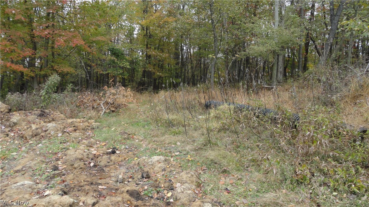 Bryden Rd - Lot # 40, Weirton, West Virginia image 3