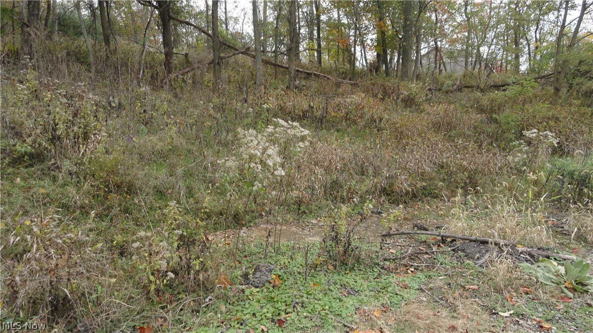 Bryden Rd - Lot # 40, Weirton, West Virginia image 2