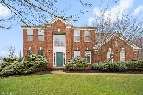 Homes For Sale - 924 Theora Drive<br/> Brunswick, OH 44212