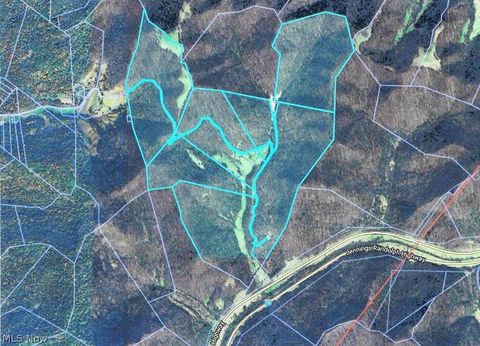 Vacant Land For Sale - Blown Timber<br/> Roane County, Newton, WV 25266