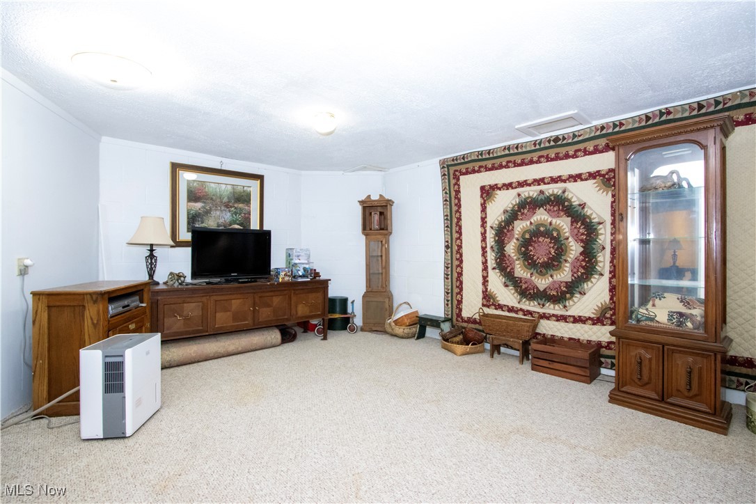 1135 Alicia Court, Orrville, Ohio image 12