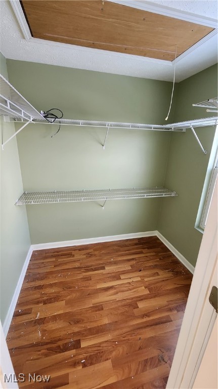 Marcie Drive Ext - Residential