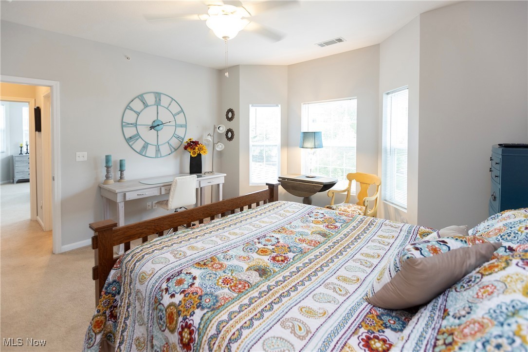 610 Aqua Marine Boulevard, Avon Lake, Ohio image 22