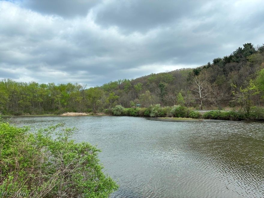 This property has a little bit of everything to offer.  72 total acres which includes wooded land, wetlands, flat open area, 16 camper lots with electric, water, and septic tanks. Property could be easily transitioned into a building lots and left to a builders imagination, with excellent potential views of the majestic and historic Ohio River.  The property could also be left as a sportsman's paradise with its two bodies of water for ducks and geese and also contains wooded timber for pursuits of deer and turkey.  Located along State Route 2 and Ferndale Road.  A short drive from many amenities