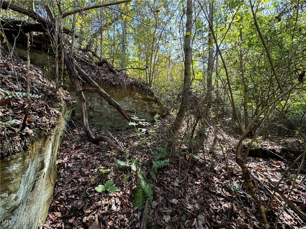 Brackenridge Road, Vincent, Ohio image 9