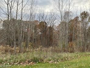 S/L #23 Highland Mist Circle, Hinckley, Ohio image 8