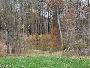 S/L #23 Highland Mist Circle, Hinckley, Ohio image 7