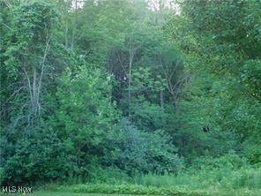 S/L #23 Highland Mist Circle, Hinckley, Ohio image 4