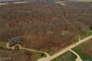 S/L #23 Highland Mist Circle, Hinckley, Ohio image 15
