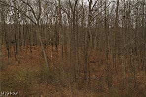 S/L #23 Highland Mist Circle, Hinckley, Ohio image 10